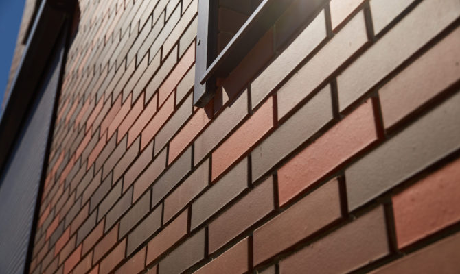 lodejnoe-pole,-lo-(2)